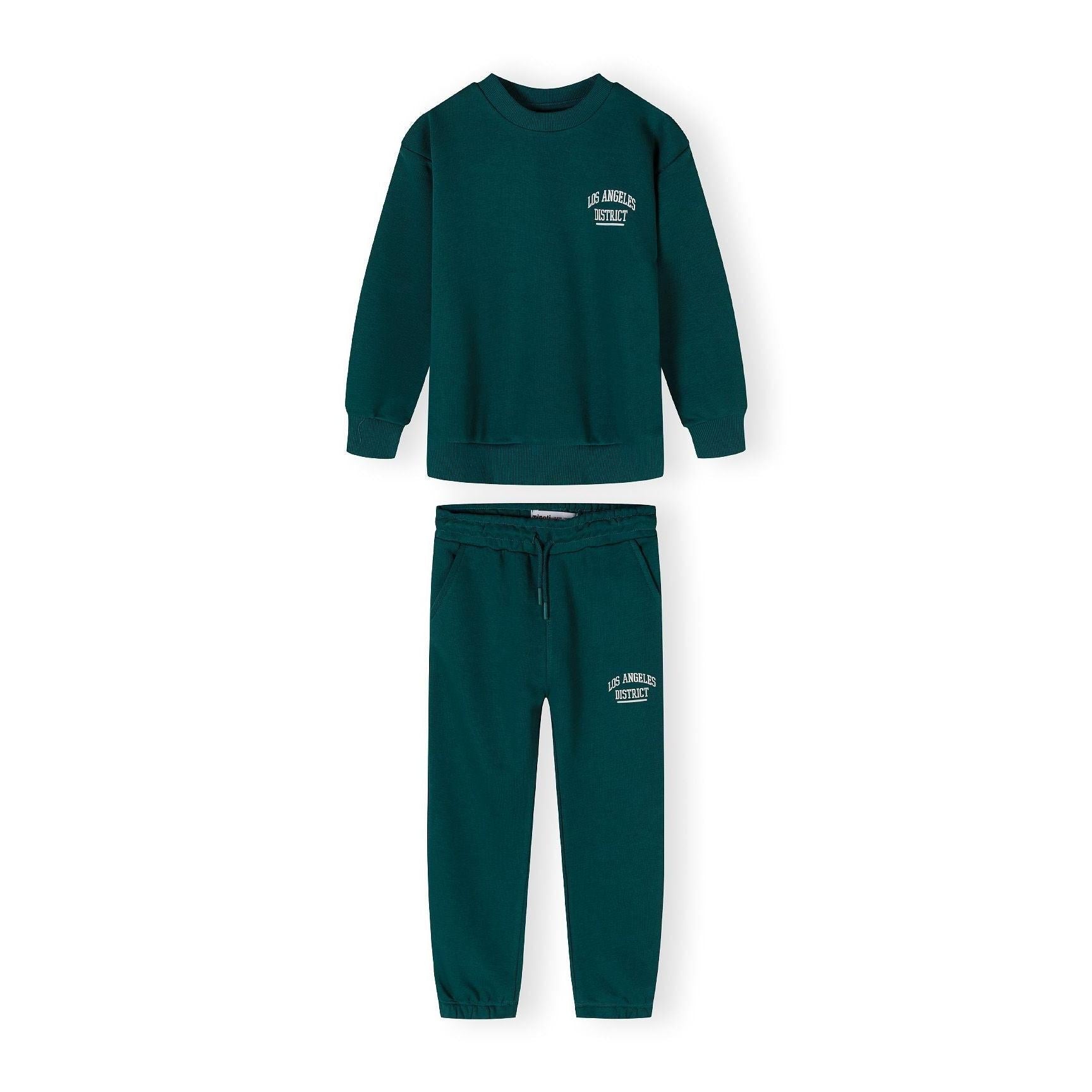 Back view of dark green crew neck sweatshirt showing plain design and ribbed neckline detail on white background