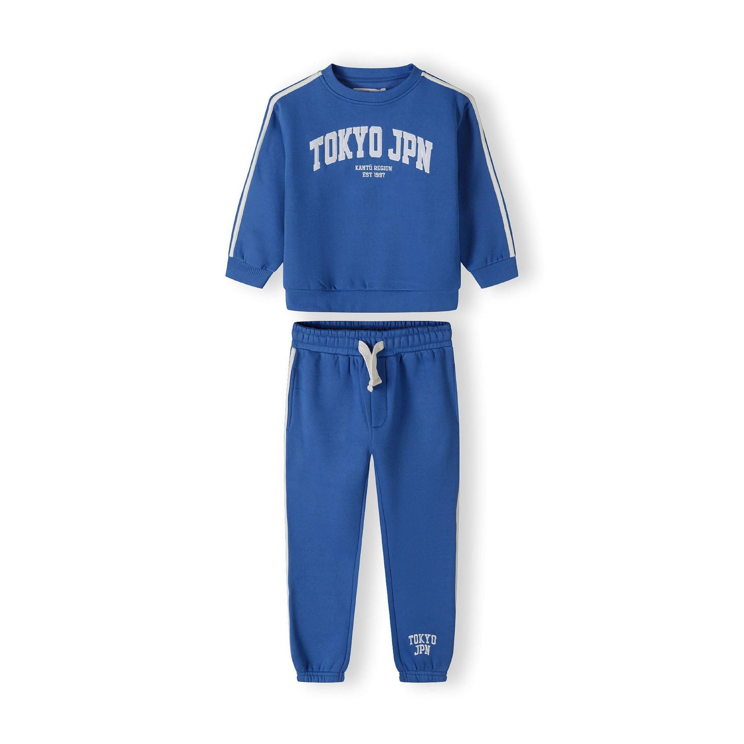 Back view of cobalt blue sweatshirt showing plain design with ribbed cuffs and hem against white background