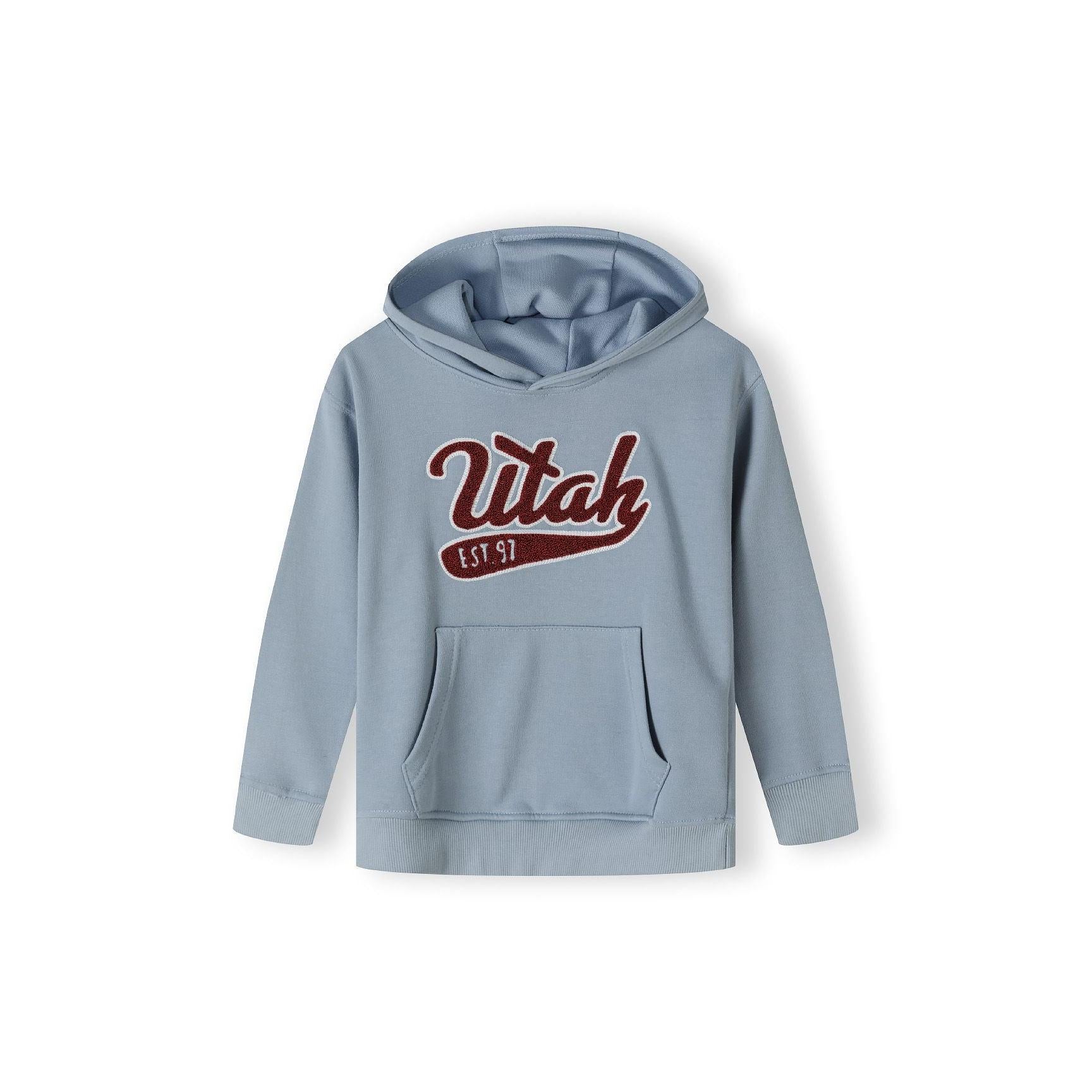 Back view of light blue oversized hoodie showing plain design with hood up, long sleeves and ribbed hem on white background
