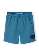 Boys fleece shorts in blue with ribbed side panels, featuring an elastic waistband and side pockets.