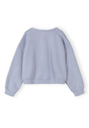 Light blue long sleeve sweatshirt with a simple, clean design and relaxed fit for casual wear.