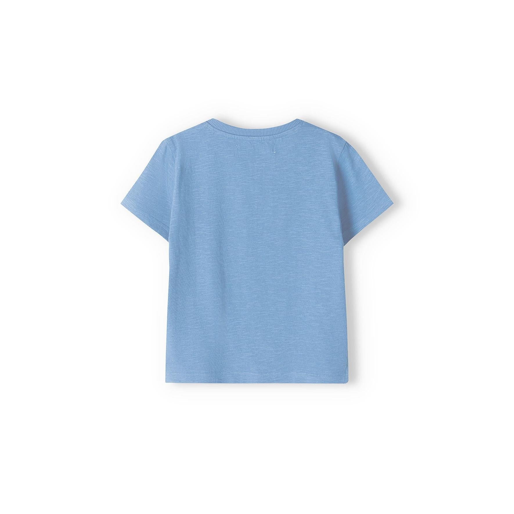 Back view of blue henley t-shirt showing plain design and crew neckline on white background
