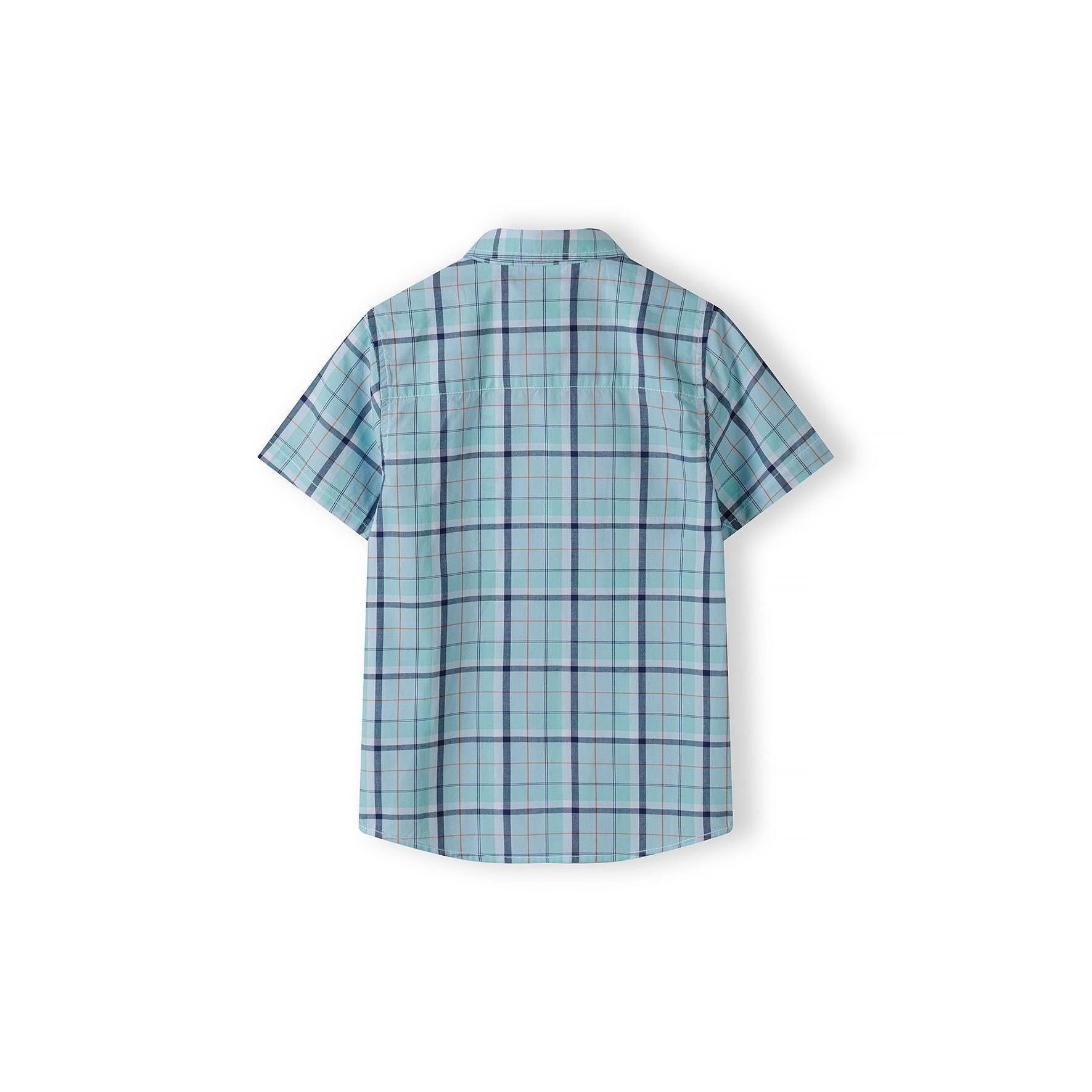 Back view of light blue checked shirt showing plaid pattern continuation and classic shirt construction with center back seam