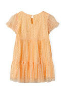 Girls party dress in peach tiered design with sheer ruffled sleeves